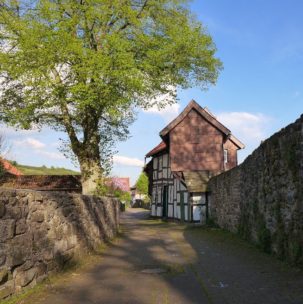 Anfragen Ferienhaus